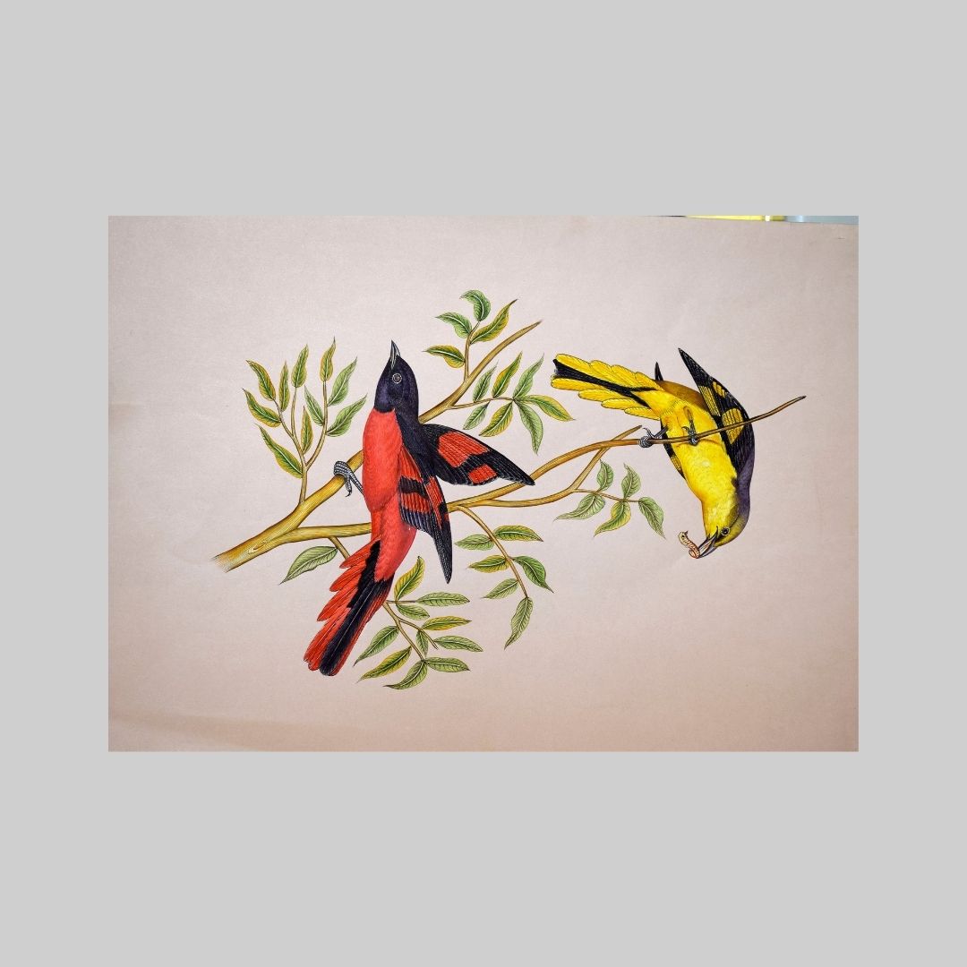 Birds in Miniautre art Painintg 57