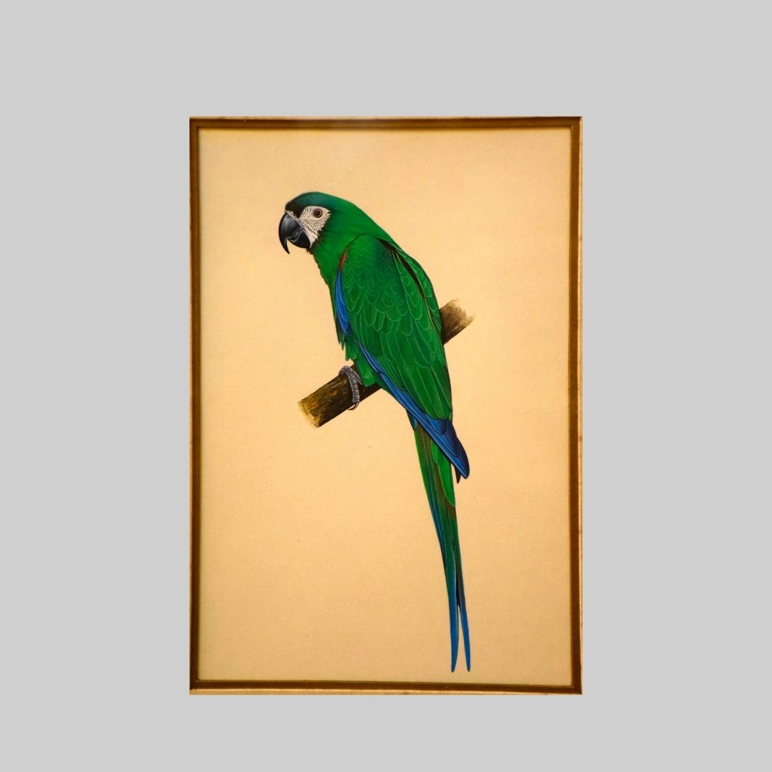 A Colorful Parrot in Miniature Painting 87