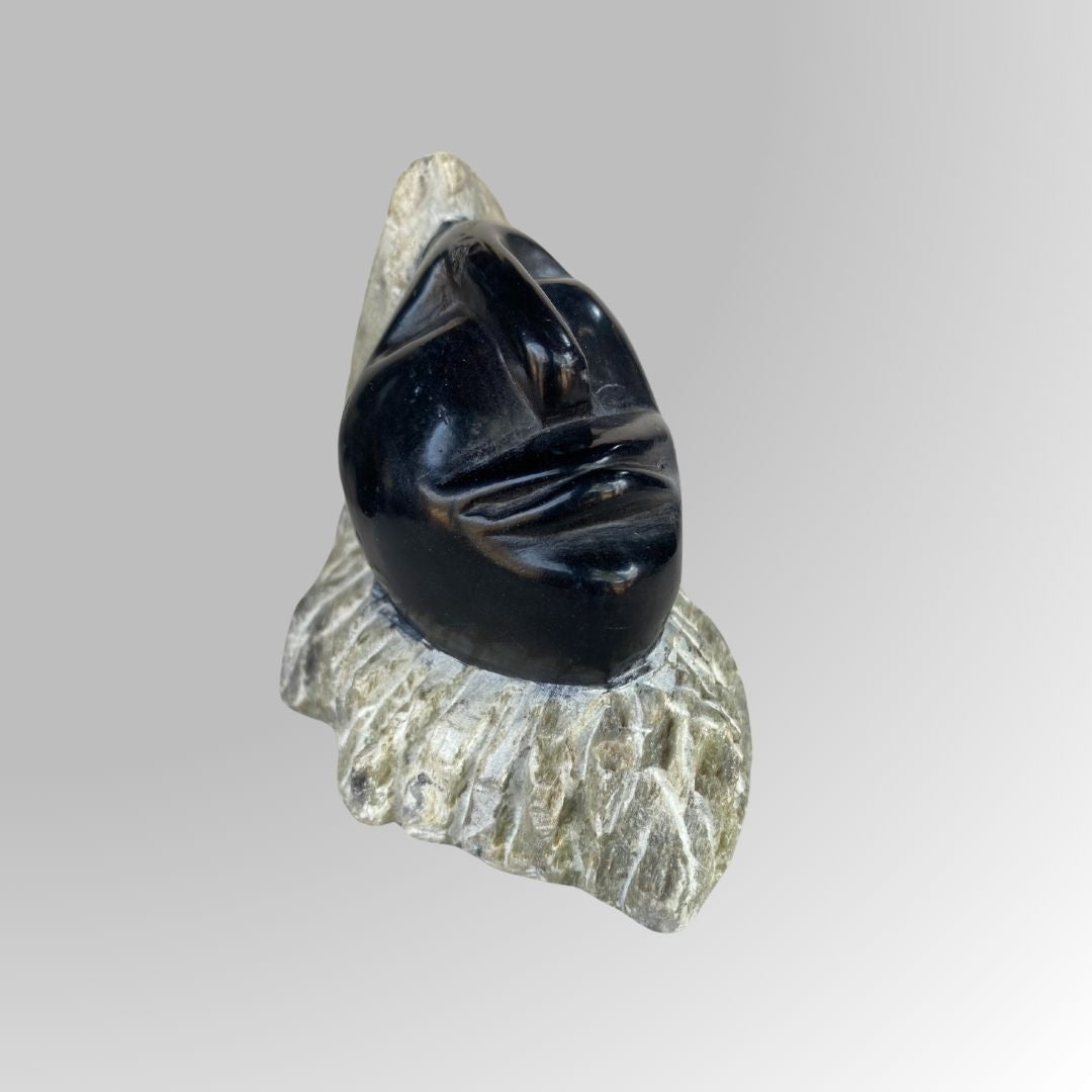 detailed view of 