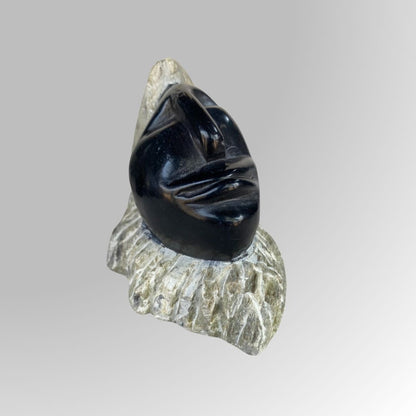 detailed view of 