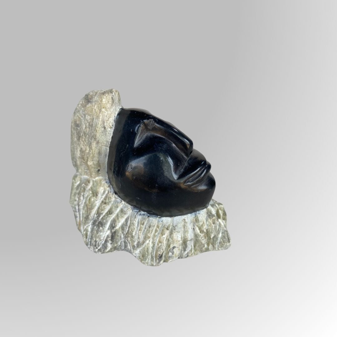detailed view of 