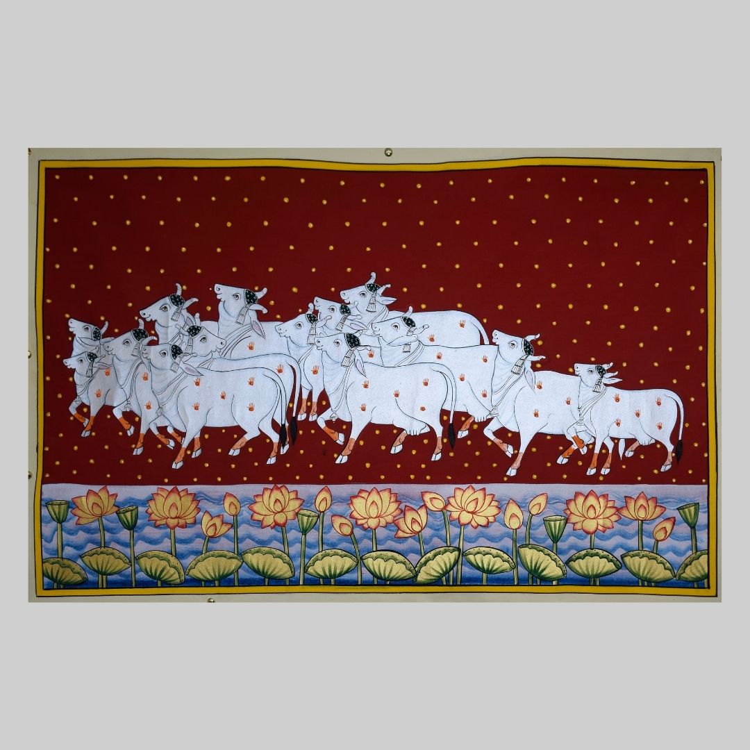 Twelve cows with Lotus Pichwai Painting