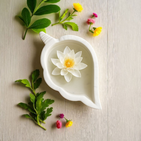 Divine Shell Marble Bowl